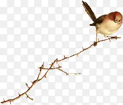 可爱树枝创意小鸟
