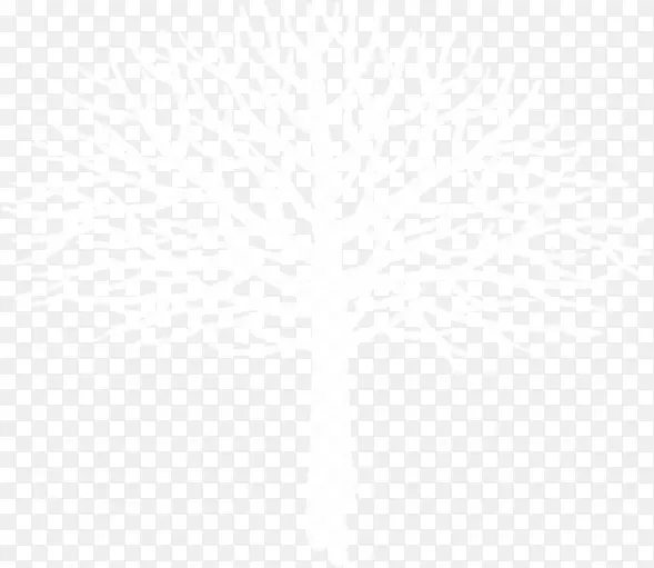 白色树枝创意插画