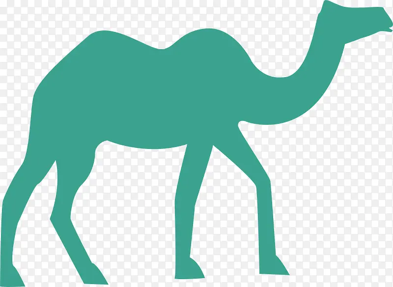 绿色沙漠骆驼