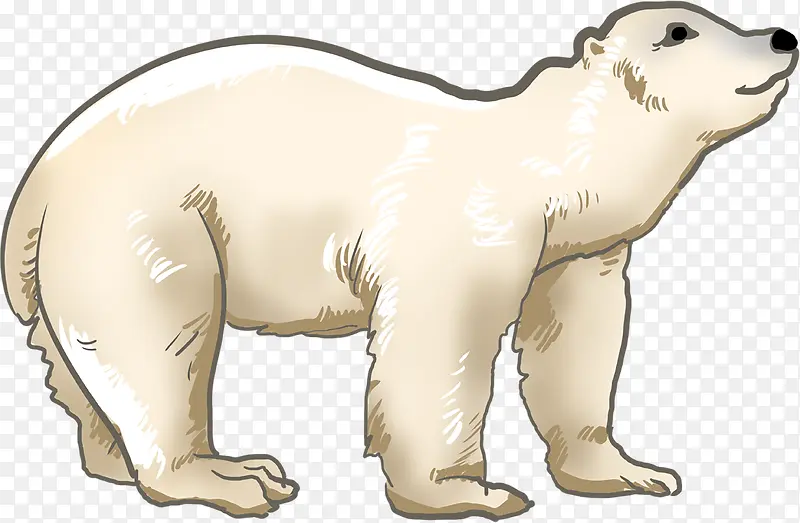 北极熊可爱免扣素材