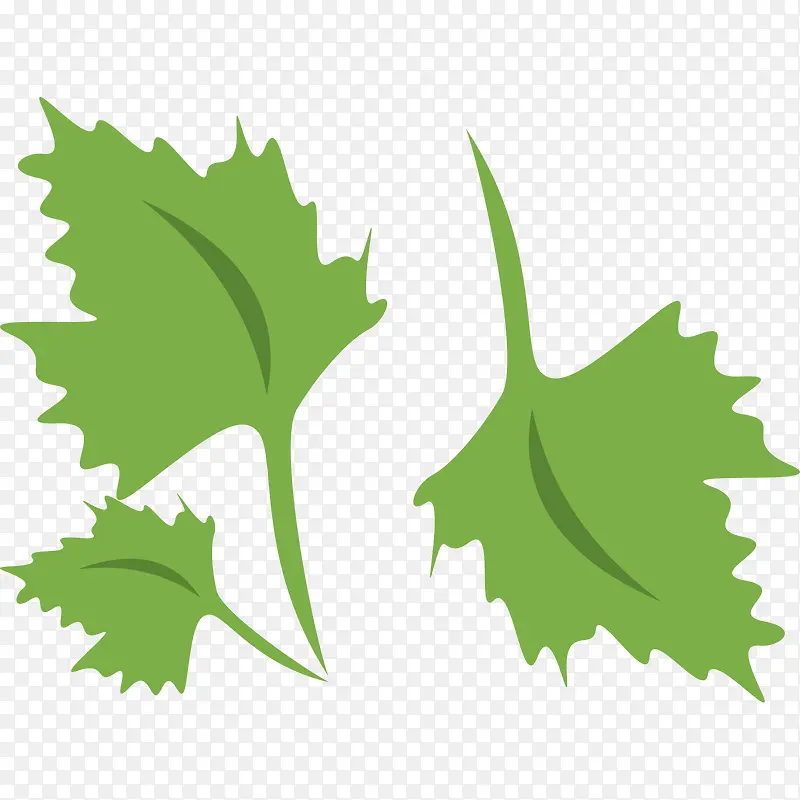 矢量扁平香菜
