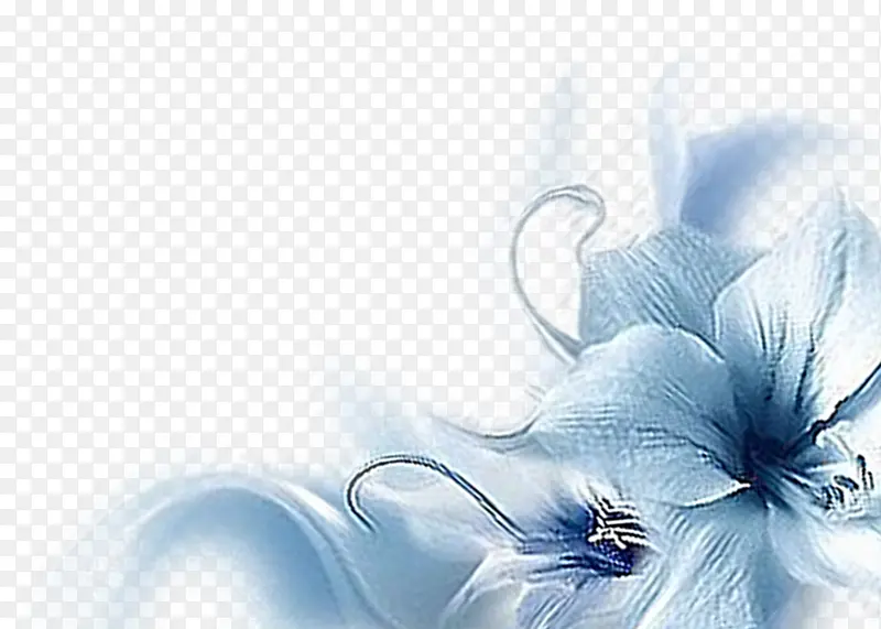 蓝色花卉相框模板