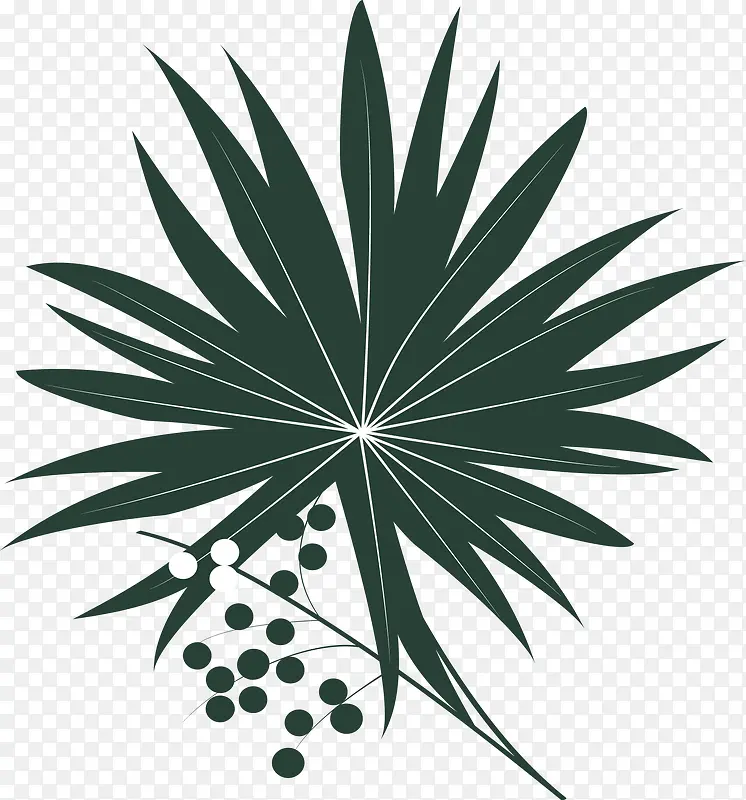 锯棕榈树叶图标矢量图