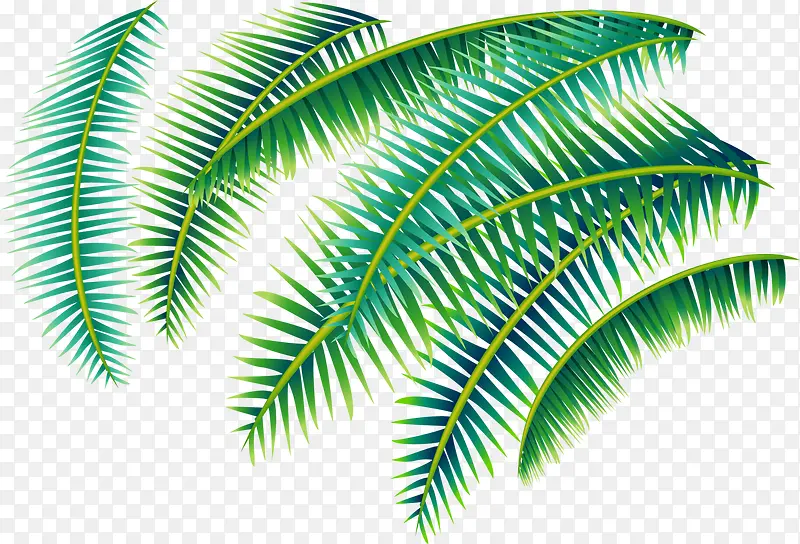 创意合成手绘绿色的棕榈叶