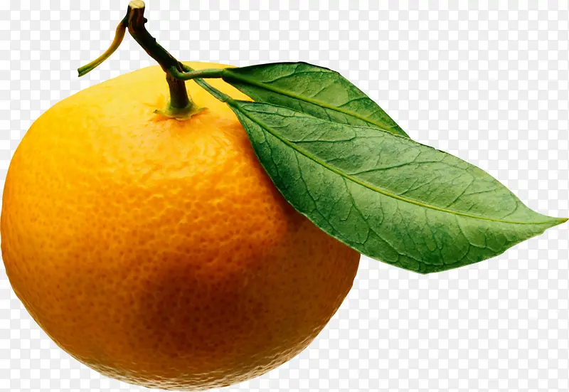 黄色新鲜橘子