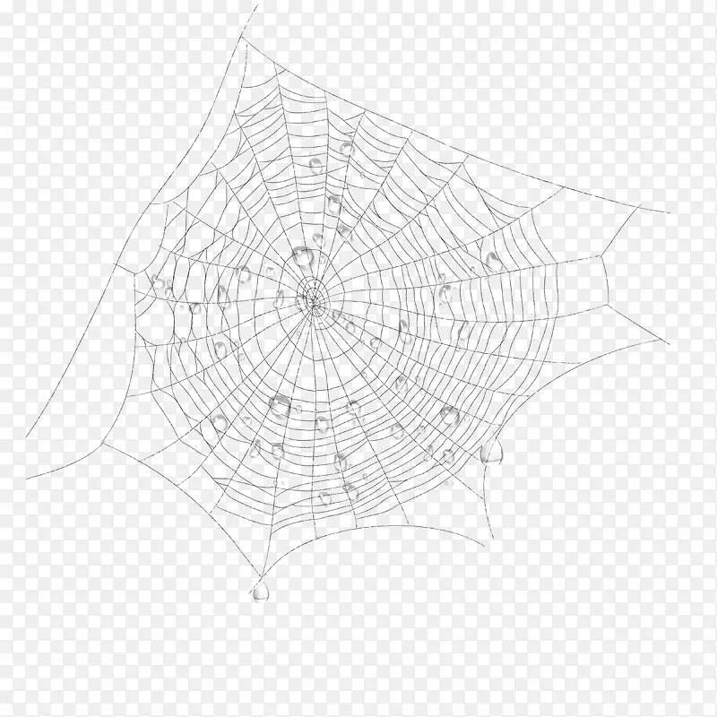 手绘蜘蛛网