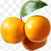 水果植物黄色橘子