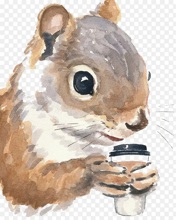 喝咖啡的松鼠
