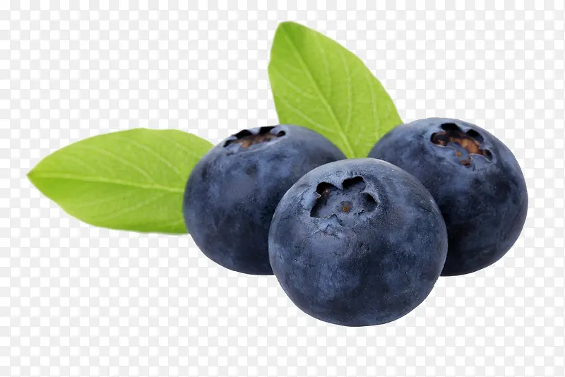蓝莓营养水果绿色叶子