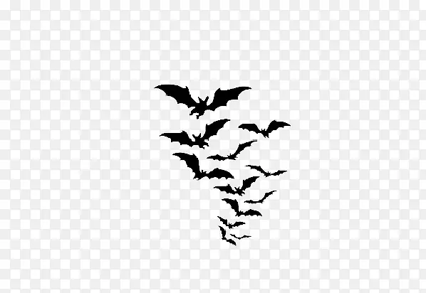 神秘黑白蝙蝠群