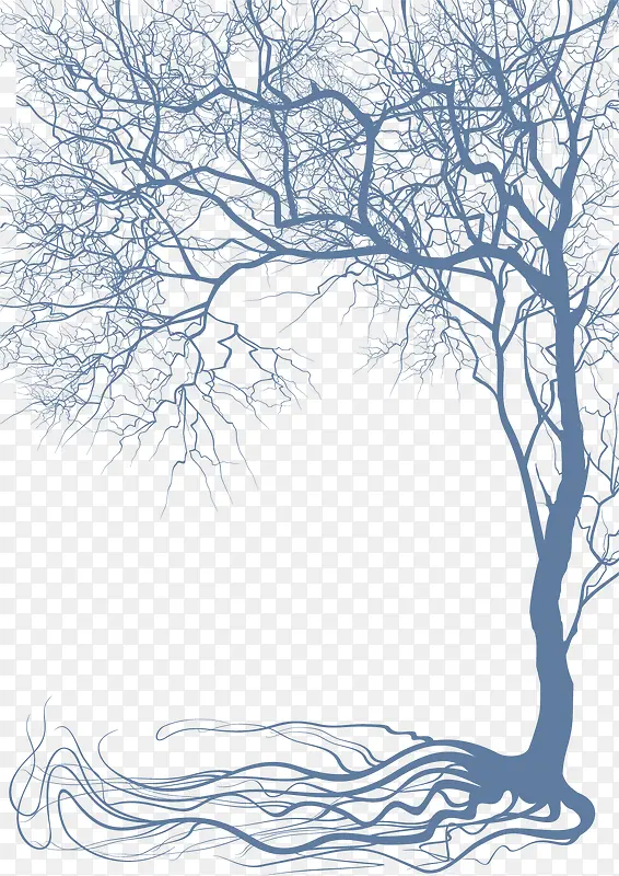 树和树根