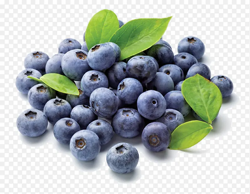 蓝莓水果绿叶营养健康
