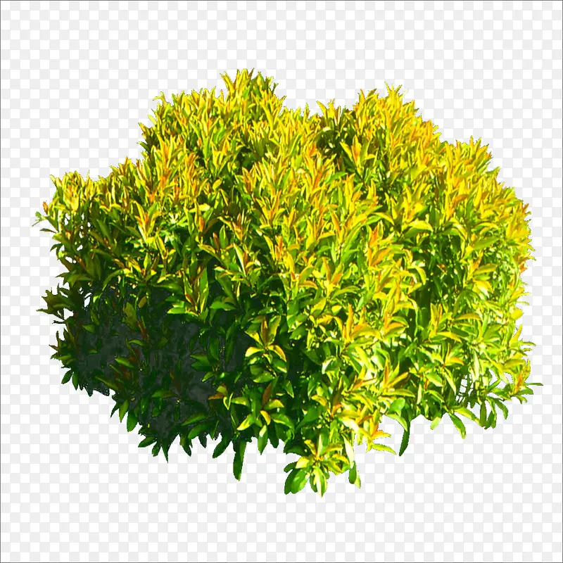 草堆