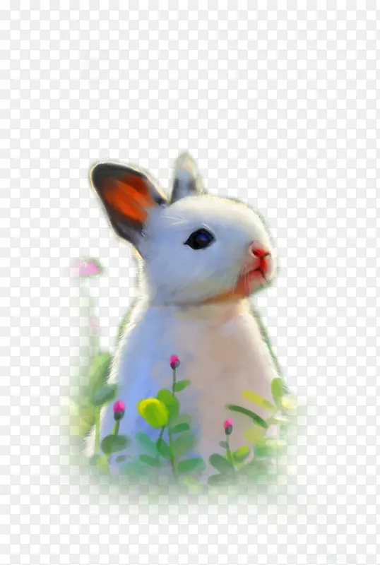 可爱白色无辜白兔