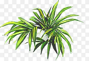 绿色手绘植物小草