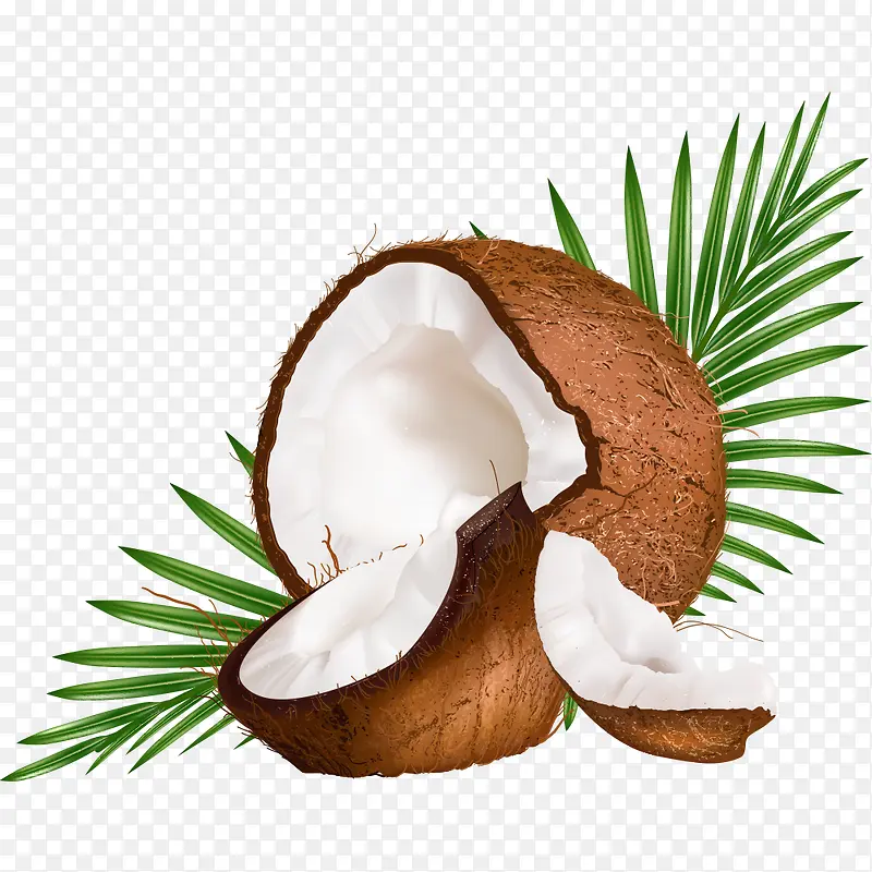 热带椰子果肉高清