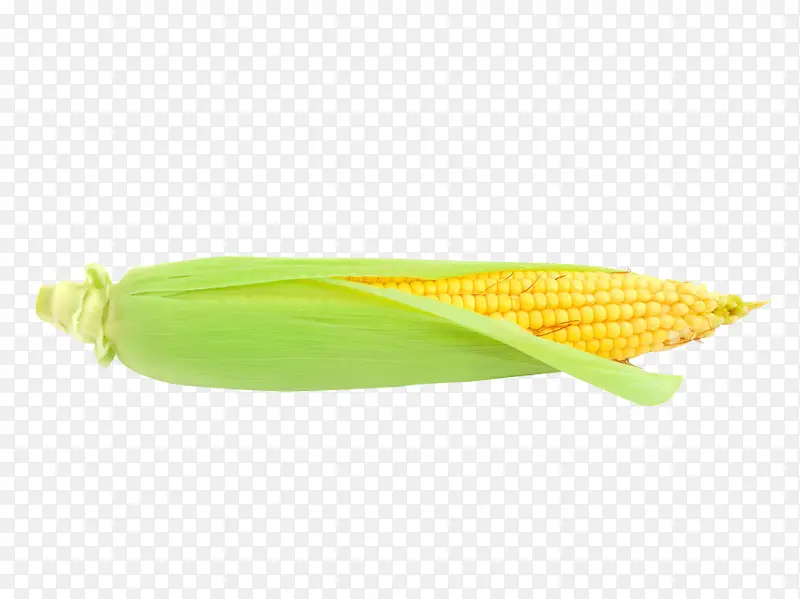 玉米实拍图元素