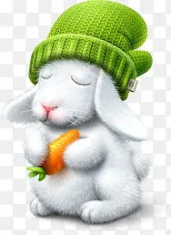 卡通绿帽胡萝卜小兔