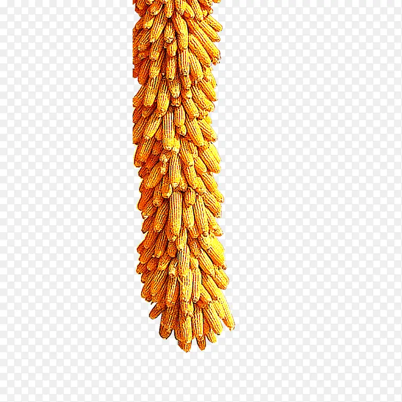 一串玉米
