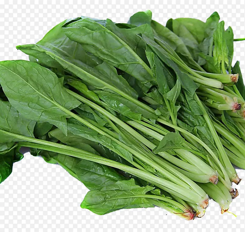 蔬菜菠菜
