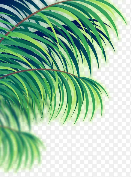 绿色扁平风热带雨林