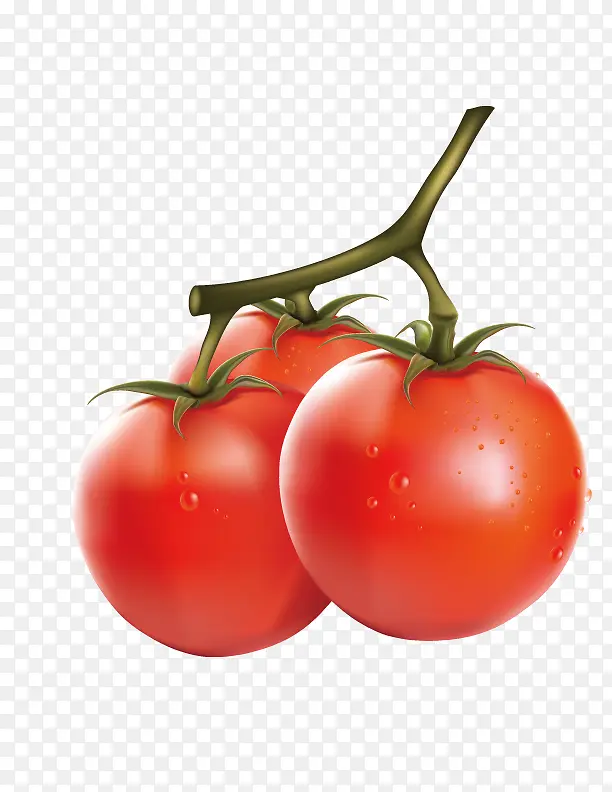 鲜红柿子