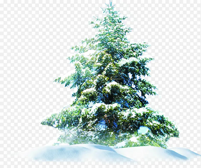 冬季圣诞树邀请卡背景