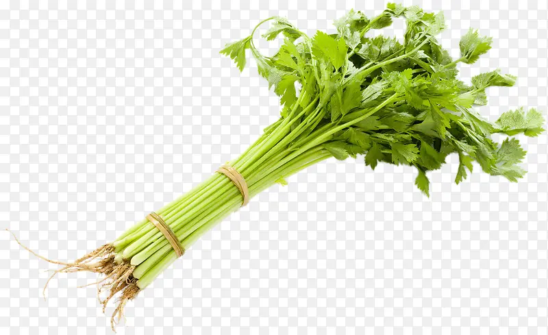 绿色蔬菜芹菜捆绑