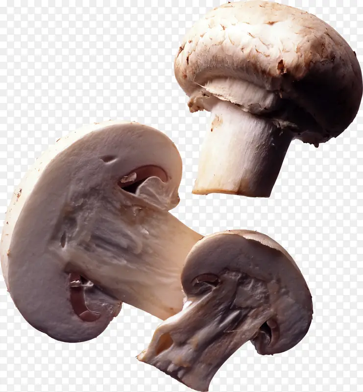 好吃的菌菇