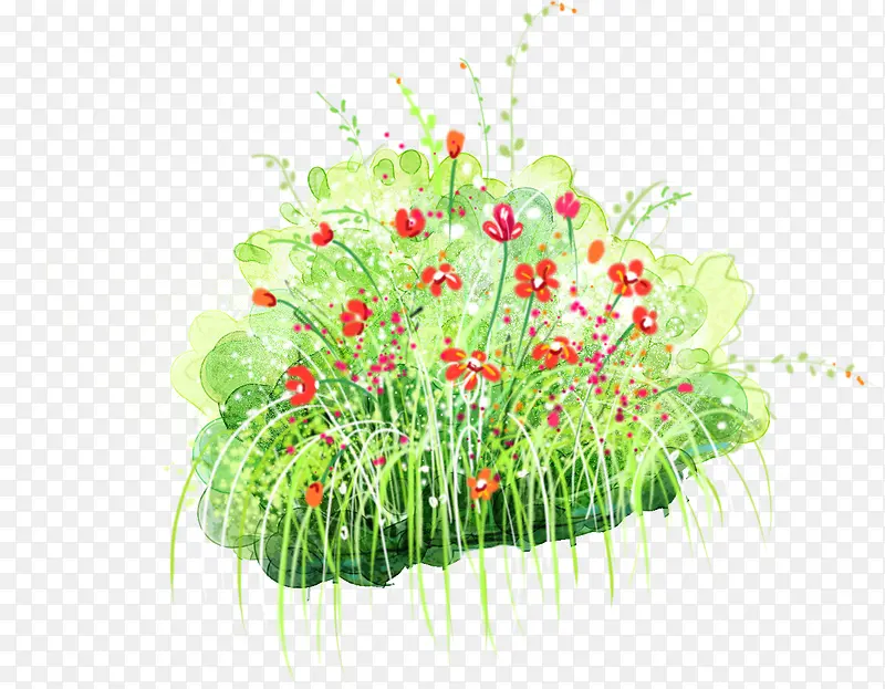 红色小花植物草地