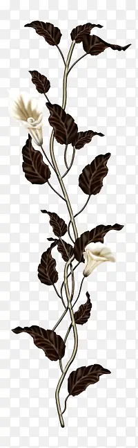 黑色唯美小花植物手绘