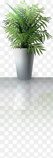 绿色室内摆件植物PNG图片素材下载_图片编号qgekvgbb-免抠素材网