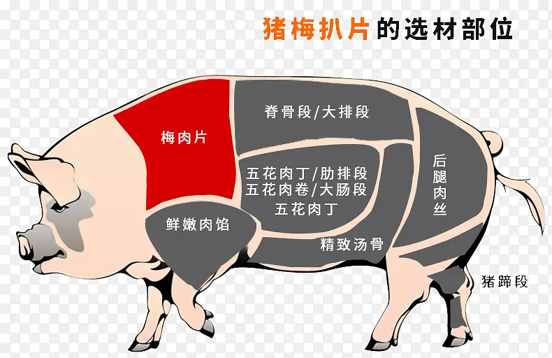 猪肉分部图