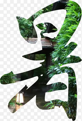 暑 树