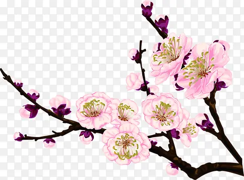 中秋节促销粉色花朵