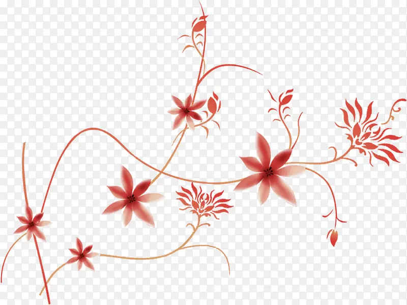 七瓣红色小花