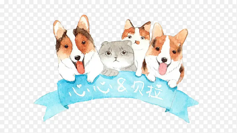 柯基卡通