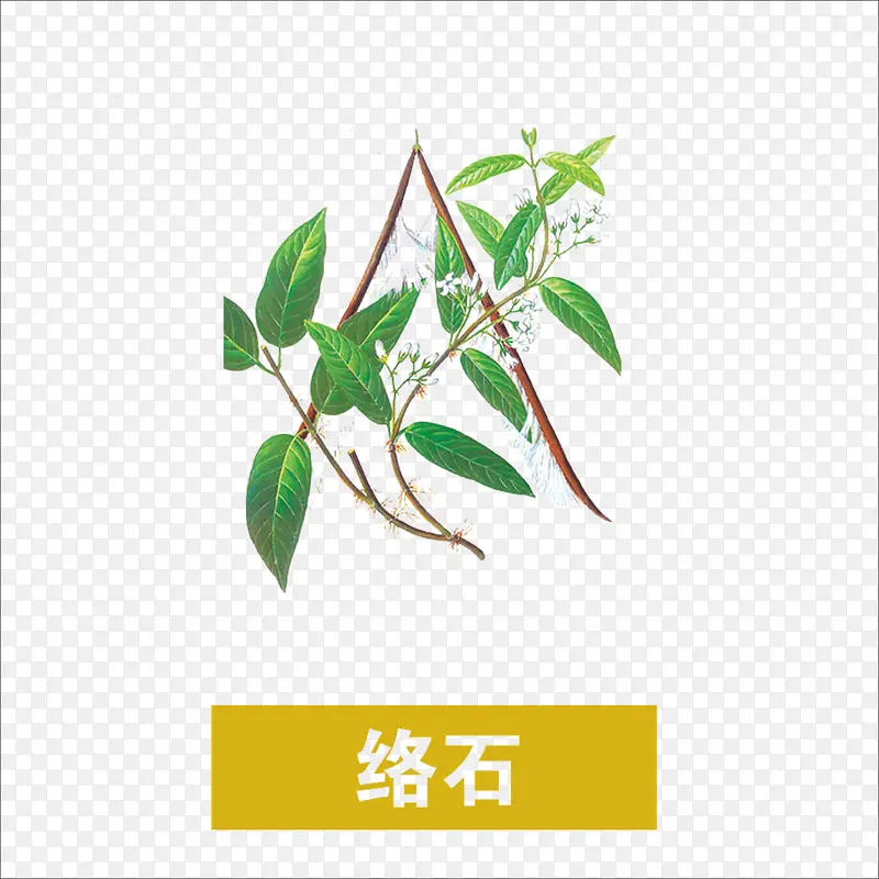 草药