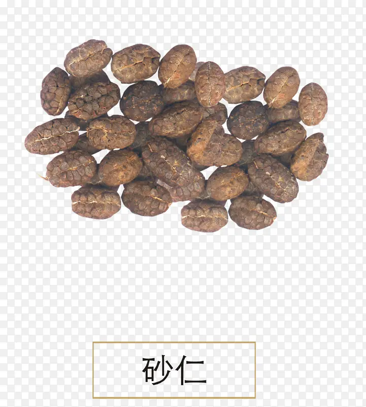 砂仁