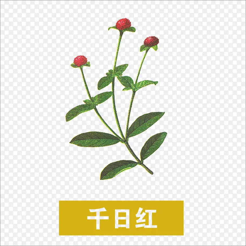 草药