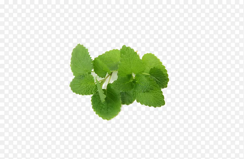 草药 药 植物  中药