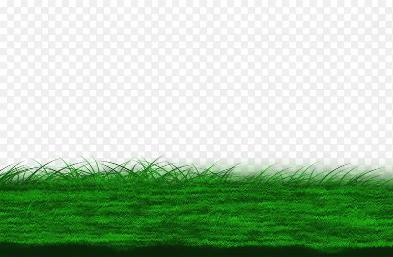 写实绿色草地