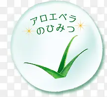 韩语植物化妆品绿色圆形