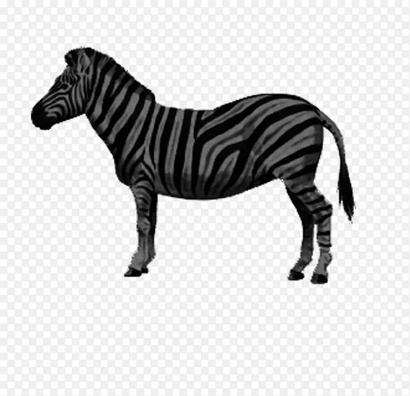 动物 手绘黑白 斑马