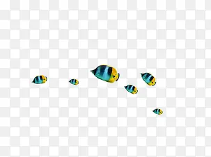 鱼