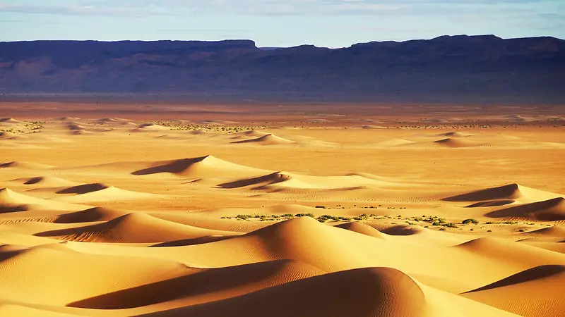 黄色沙漠沙丘干旱