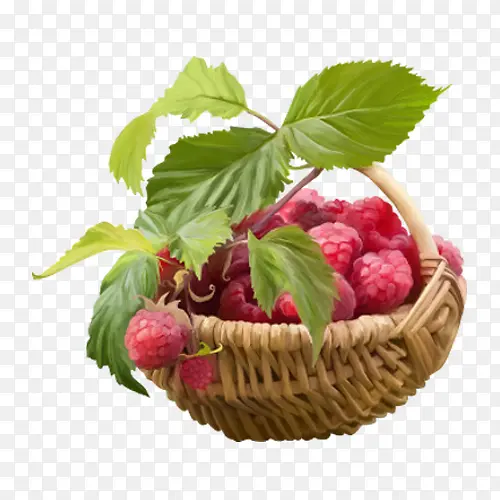 一篮树莓