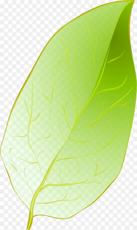 绿色叶子卡片设计