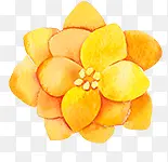 花卉