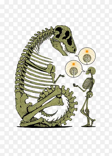 恐龙化石与骷髅对话